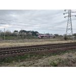 Zdjęcia użytkowników Asus ZenFone 8