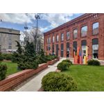 Zdjęcia użytkowników Asus ZenFone 8