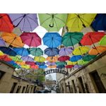 Zdjęcia użytkowników Asus ZenFone 8