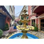 Zdjęcia użytkowników Asus ZenFone 8