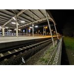 Zdjęcia użytkowników Asus ZenFone 8