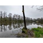 Zdjęcia użytkowników Asus ZenFone 8