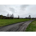 Zdjęcia użytkowników Asus ZenFone 8