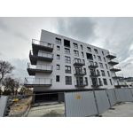 Zdjęcia użytkowników Asus ZenFone 8