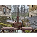 Zdjęcia użytkowników Asus ZenFone 8