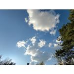 Zdjęcia użytkowników Asus ZenFone 8