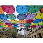 Zdjęcia użytkowników Asus ZenFone 8