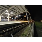 Zdjęcia użytkowników Asus ZenFone 8