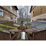 Zdjęcia użytkowników Asus ZenFone 8