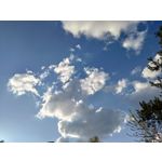 Zdjęcia użytkowników Asus ZenFone 8