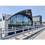 Zdjęcia użytkowników Asus ZenFone 8