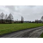 Zdjęcia użytkowników Asus ZenFone 8