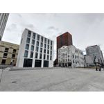 Zdjęcia użytkowników Asus ZenFone 8