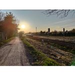 Zdjęcia użytkowników Asus ZenFone 8