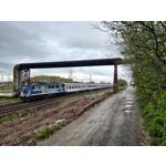 Zdjęcia użytkowników Asus ZenFone 8