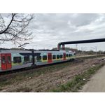 Zdjęcia użytkowników Asus ZenFone 8