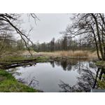 Zdjęcia użytkowników Asus ZenFone 8