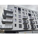 Zdjęcia użytkowników Asus ZenFone 8