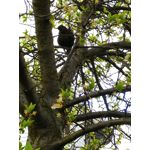 ZDJĘCIA Z TEGO TELEFONU