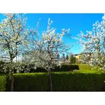 ZDJĘCIA Z TEGO TELEFONU