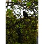 ZDJĘCIA Z TEGO TELEFONU