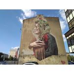 Zdjęcia użytkowników Asus Zenfone Max Pro M1