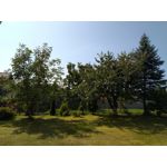 Zdjęcia użytkowników Asus Zenfone Max Pro M1