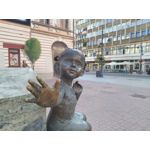 Zdjęcia użytkowników Asus Zenfone Max Pro M1