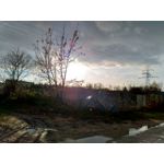 Zdjęcia użytkowników Asus ZenFone Zoom S