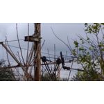 Zdjęcia użytkowników Asus ZenFone Zoom S