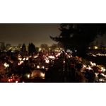 Zdjęcia użytkowników Asus ZenFone Zoom S