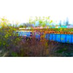 Zdjęcia użytkowników Asus ZenFone Zoom S