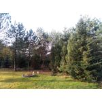 Zdjęcia użytkowników Asus ZenFone Zoom S