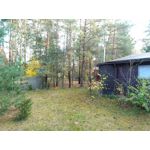 Zdjęcia użytkowników Asus ZenFone Zoom S