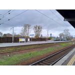 Zdjęcia użytkowników Asus ZenFone Zoom S