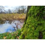 Zdjęcia użytkowników Asus ZenFone Zoom S