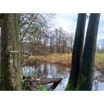 Zdjęcia użytkowników Asus ZenFone Zoom S