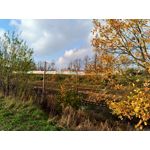 Zdjęcia użytkowników Asus ZenFone Zoom S