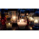 Zdjęcia użytkowników Asus ZenFone Zoom S