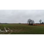 Zdjęcia użytkowników Asus ZenFone Zoom S