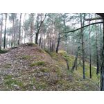 Zdjęcia użytkowników Asus ZenFone Zoom S