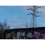 Zdjęcia użytkowników Asus ZenFone Zoom S