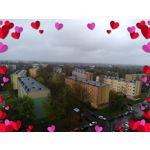 Zdjęcia użytkowników Asus ZenFone Zoom S