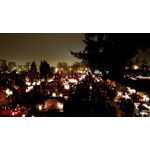 Zdjęcia użytkowników Asus ZenFone Zoom S