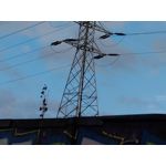 Zdjęcia użytkowników Asus ZenFone Zoom S