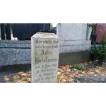 Zdjęcia użytkowników Asus ZenFone Zoom S