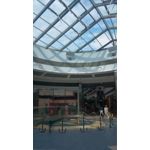 Zdjęcia użytkowników Asus Zenfone Zoom ZX551ML Zdjęcia użytkowników Asus Zenfone Zoom ZX551ML