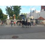 Zdjęcia użytkowników Asus Zenfone Zoom ZX551ML Zdjęcia użytkowników Asus Zenfone Zoom ZX551ML