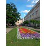 Zdjęcia użytkowników Asus Zenfone Zoom ZX551ML Zdjęcia użytkowników Asus Zenfone Zoom ZX551ML