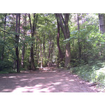 Zdjęcia użytkowników BenQ-Siemens EF81